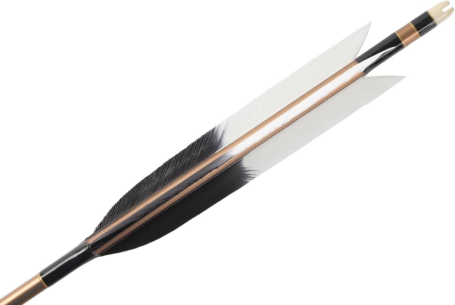 弓道矢筒　オリジナルデザイン矢筒 Amazon.co.jp: 弓道矢筒 オリジナルデザイン矢筒 : スポーツ